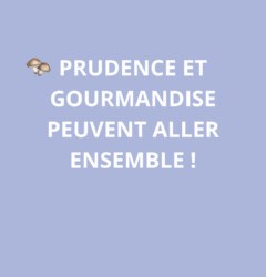 Attention à la cueillette des champignons !
